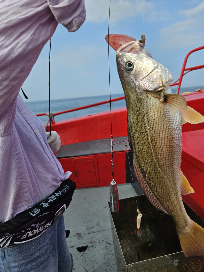 ffa132248ccd8bbd32907427d5d5d9ca_1723544342_9502.jpg