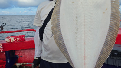 2025년 8월 16일 바다사랑호 다운샷 조황