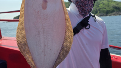 2025.08.21 바다사랑호 오전낚시 광어 다운샷 조황사진입니다.