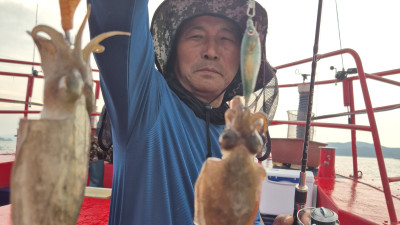 2025.09.04 목요일 바다사랑호 쭈꾸미 조황사진입니다.