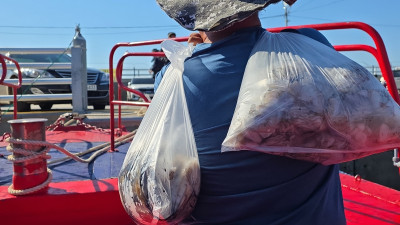 2025.09.10 바다사랑호 쭈꾸미 조황사진 입니다.