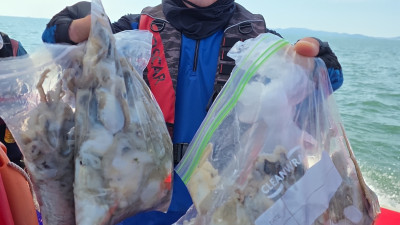 2025.09.11 바다사랑호 쭈꾸미 조황사진 입니다.