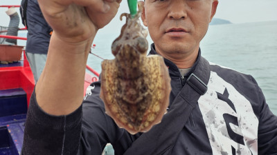 2025.09.27 갑오징어 조황사진입니다.