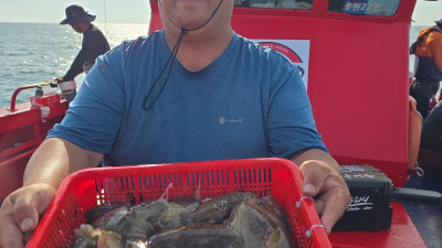 2025.09.25 갑오징어 조황사진입니다.