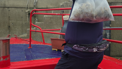 2025.09.08 바다사랑호 쭈꾸미 5시간 조업사진 입니다.